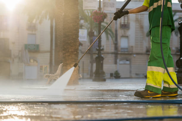 Best Roof Washing  in Mcelhattan, PA